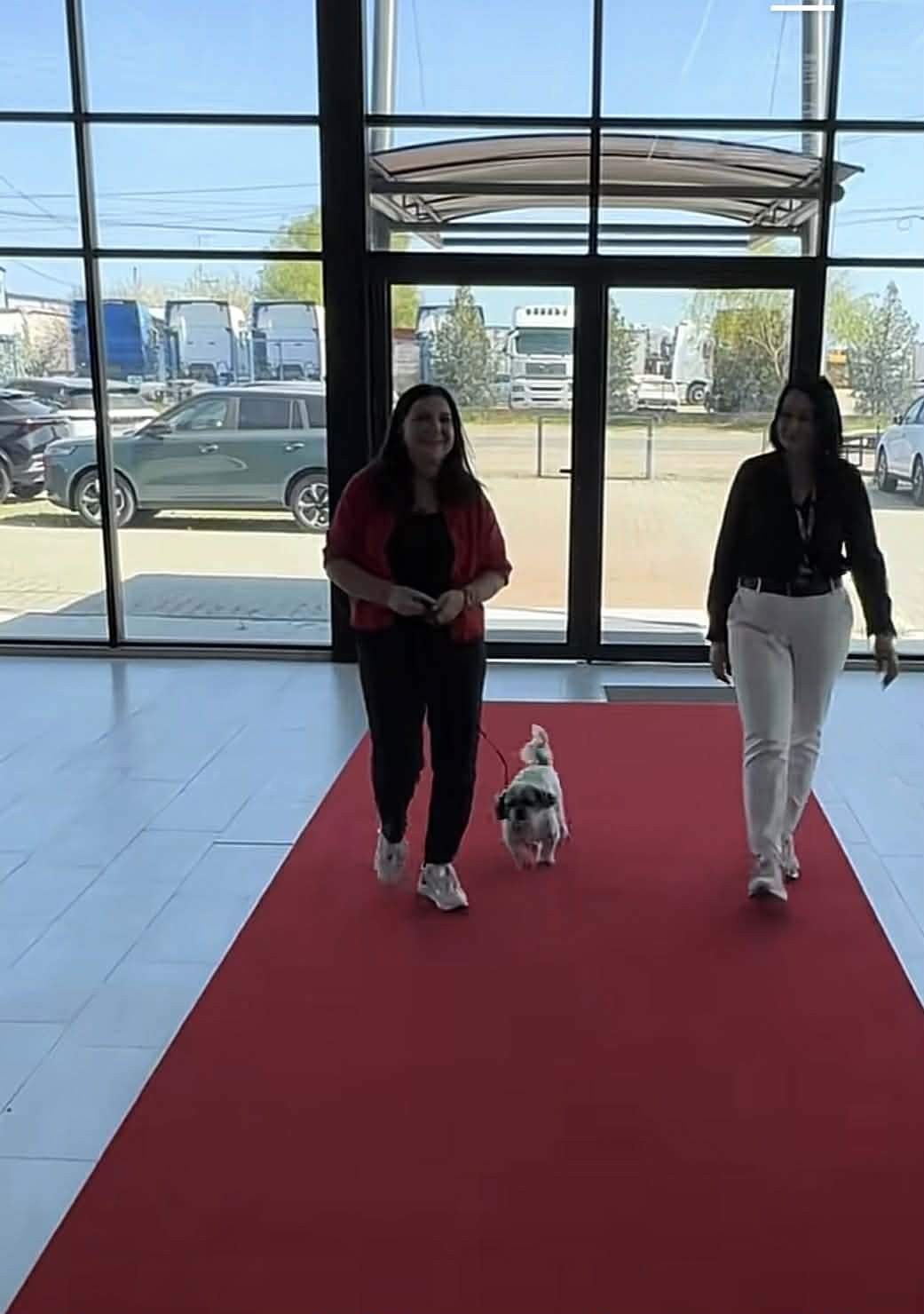 Carmen Șerban le dă peste nas bârfitorilor! Ce achiziție de peste 50.000 de euro a făcut