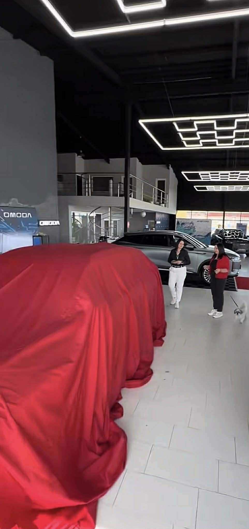 Carmen Șerban le dă peste nas bârfitorilor! Ce achiziție de peste 50.000 de euro a făcut