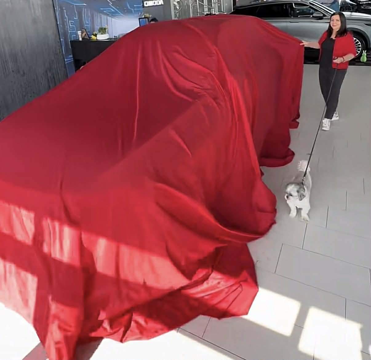 Carmen Șerban le dă peste nas bârfitorilor! Ce achiziție de peste 50.000 de euro a făcut