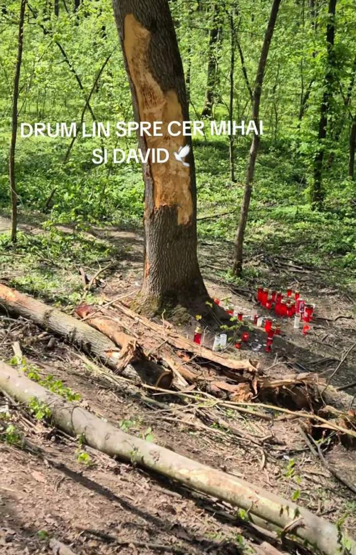 accidentul din pădurea Snagov