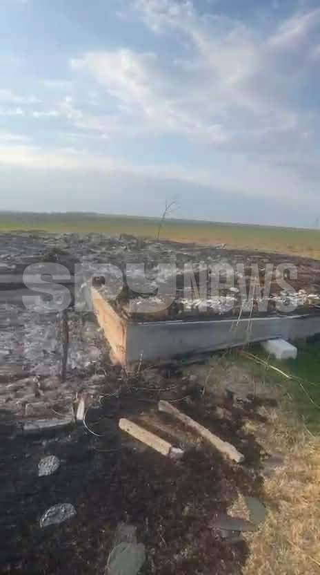 Casa lui Mircea Dinescu, incendiată! Ce s-a întâmplat cu moșia din Dolj