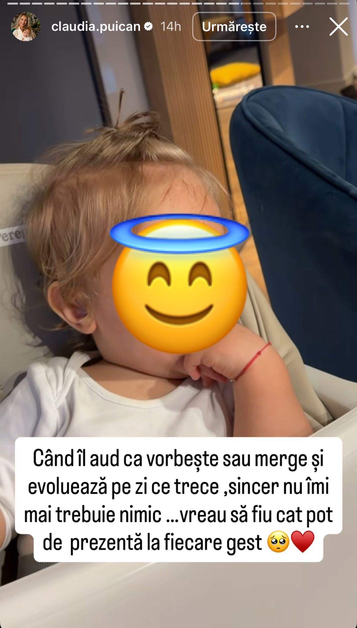 Mesajul Claudiei Puican