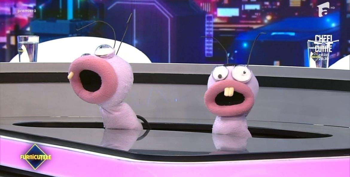 Furnicuțele lui Denise Rifai