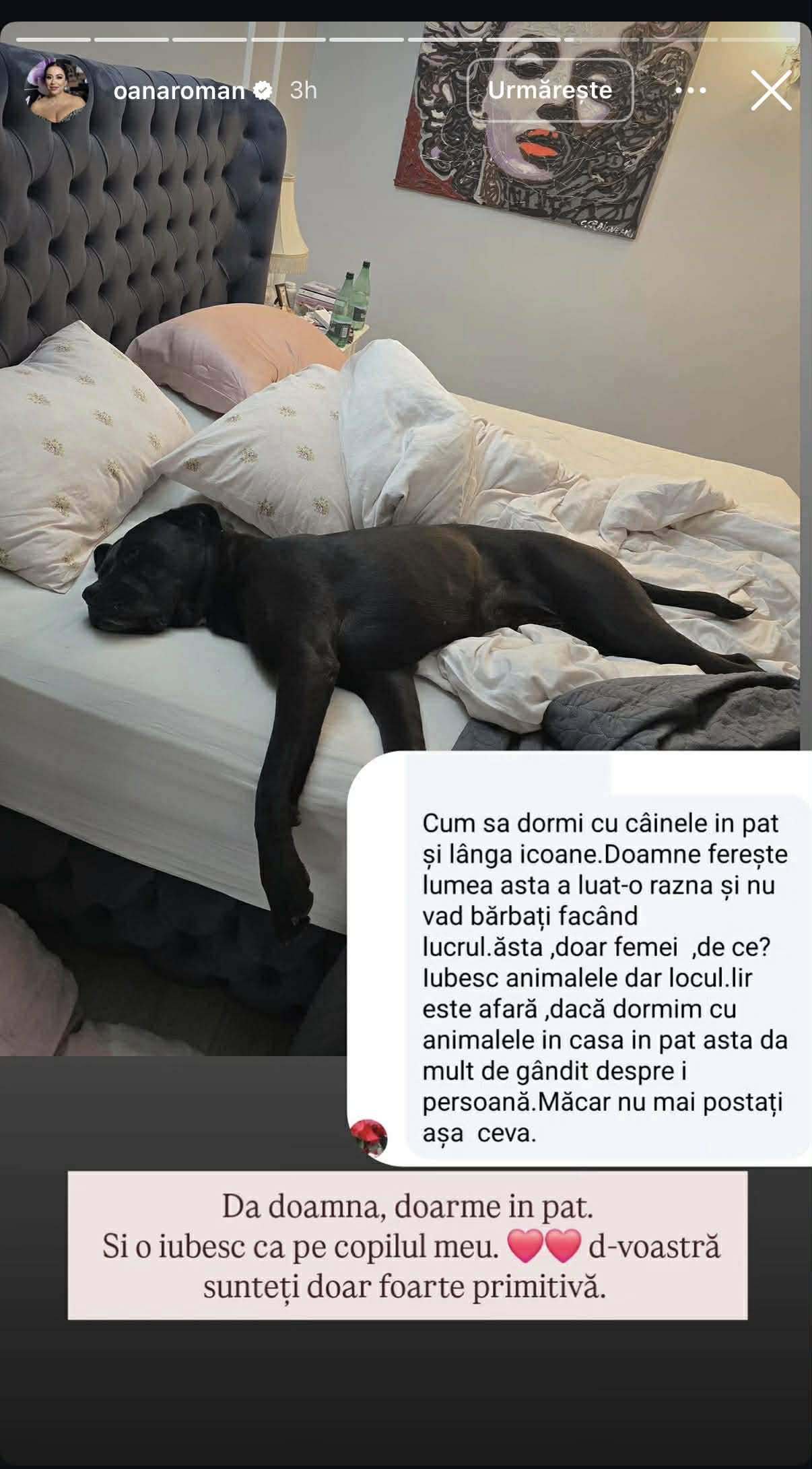 Oana Roman, criticată pentru că doarme în pat cu câinele. Cum a răspuns vedeta