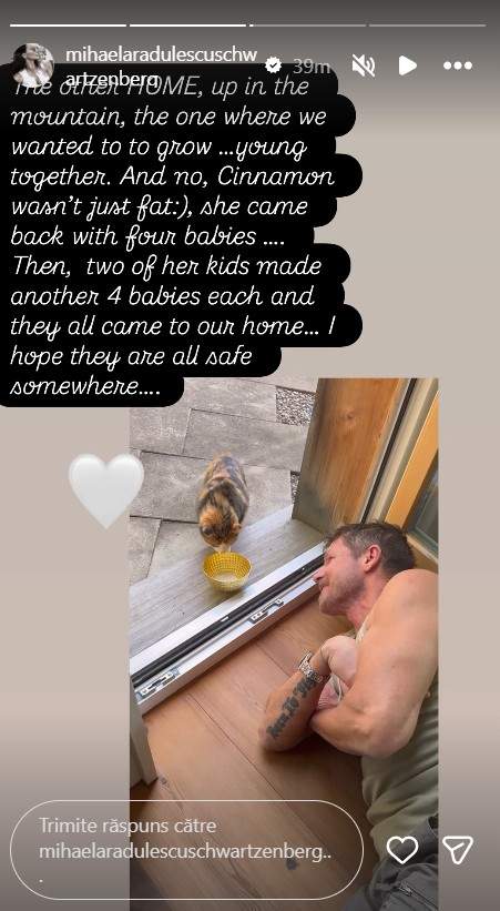 Mihaela Rădulescu, noi imagini din intimitate cu Felix Baumgartner. Cât de mult se iubeau cei doi