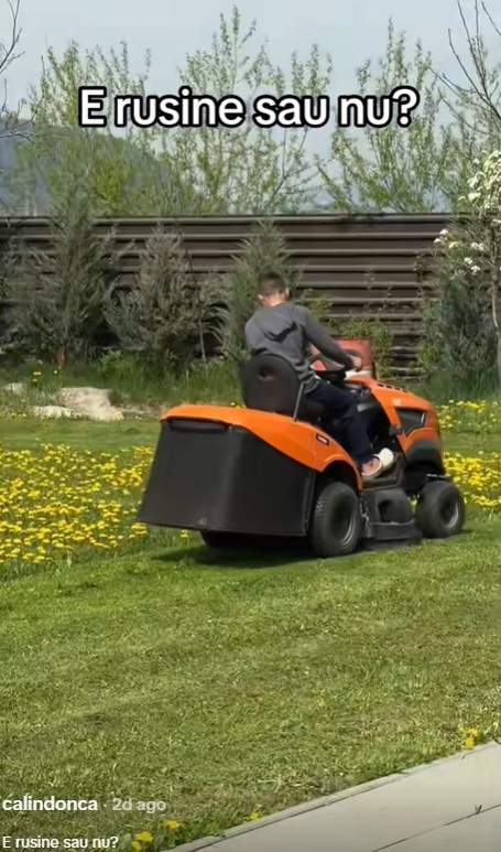 Călin Donca de la Survivor, pus la punct după ce și-a pus copiii la treabă. Ce răspuns a dat milionarul