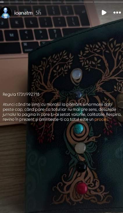 Mesajul Ioanei Coman