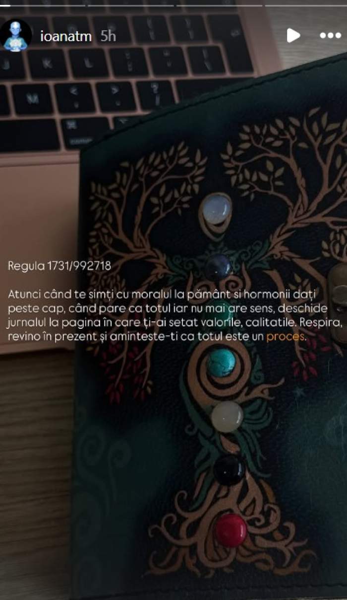 Mesajul Ioanei Coman