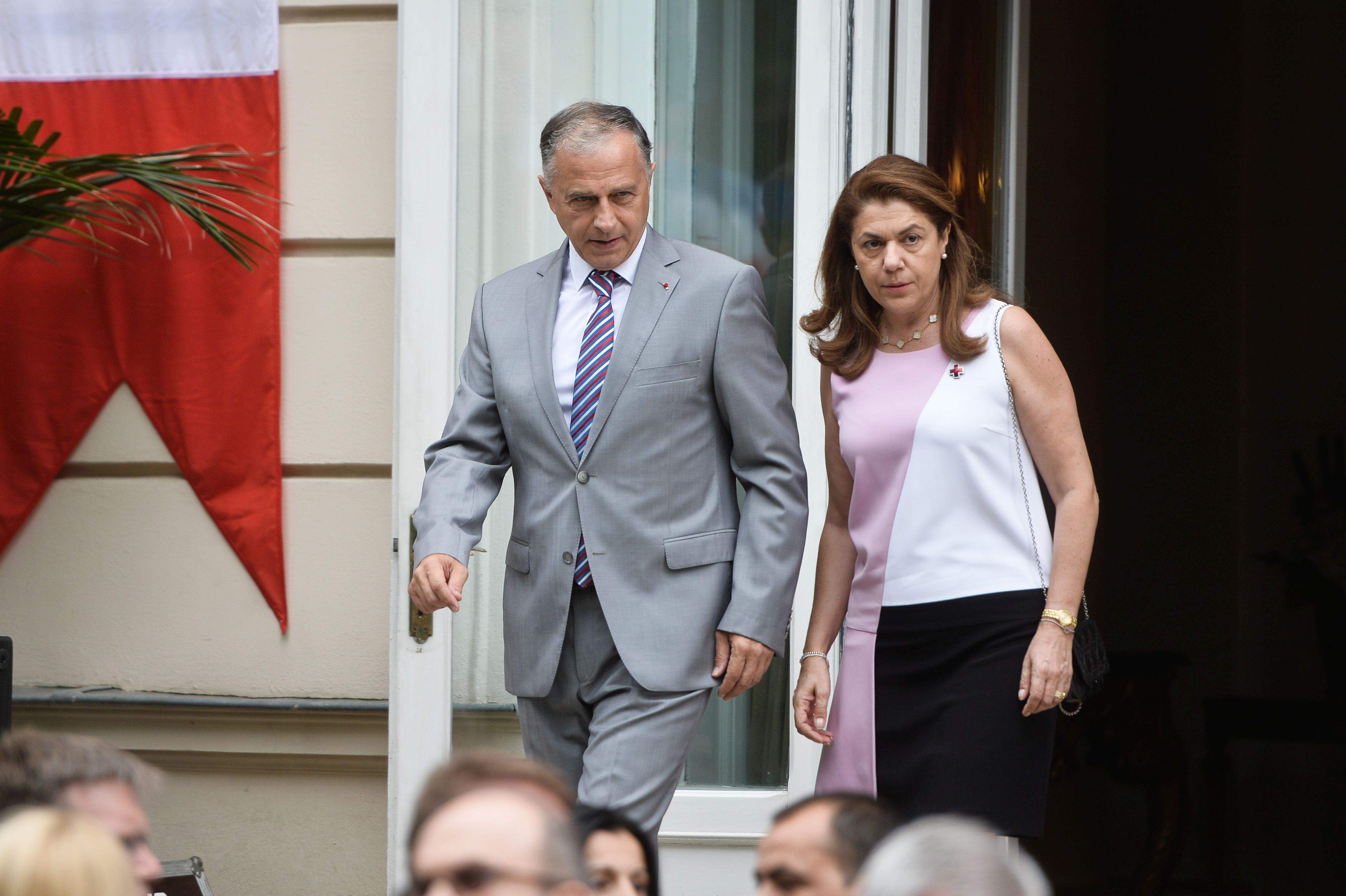 Mircea și Mihaela Geoană