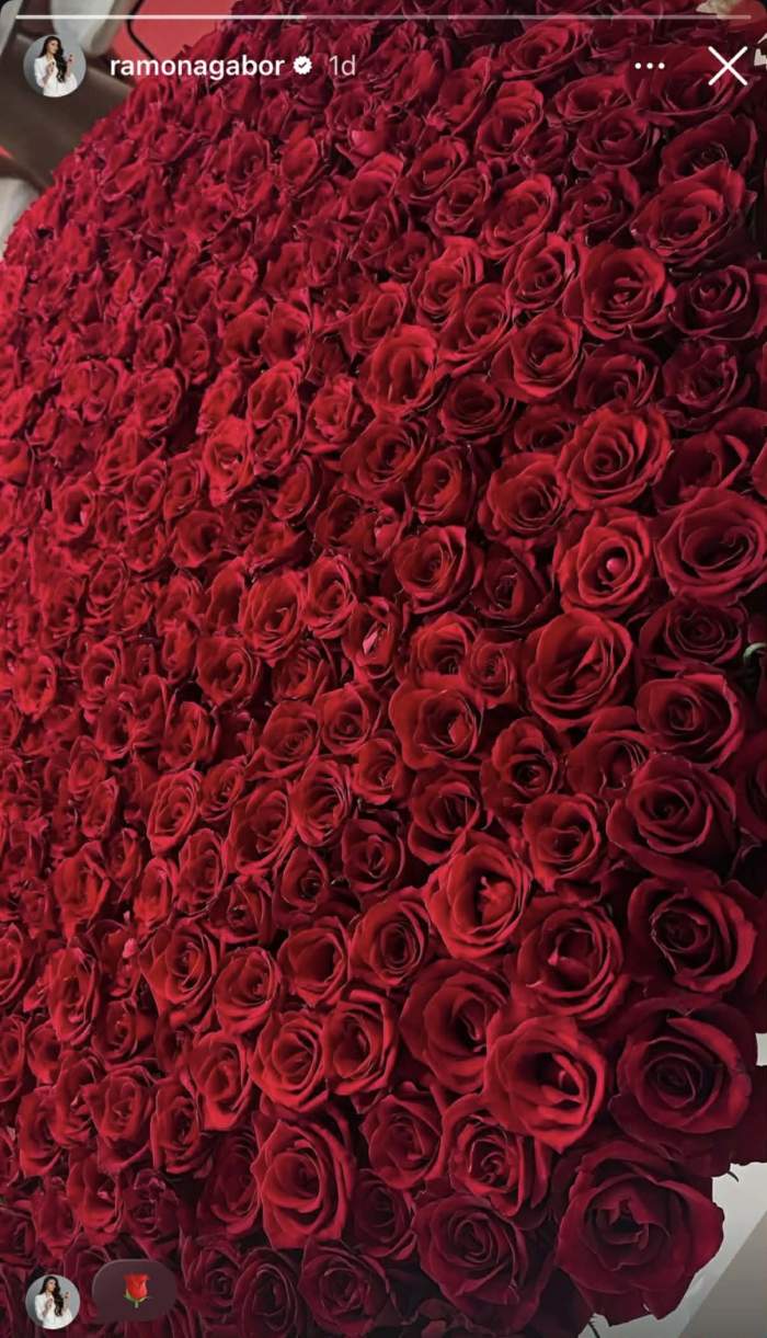 Gest romantic pentru Ramona Gabor! Cum a fost răsfățată sora Monicăi Gabor