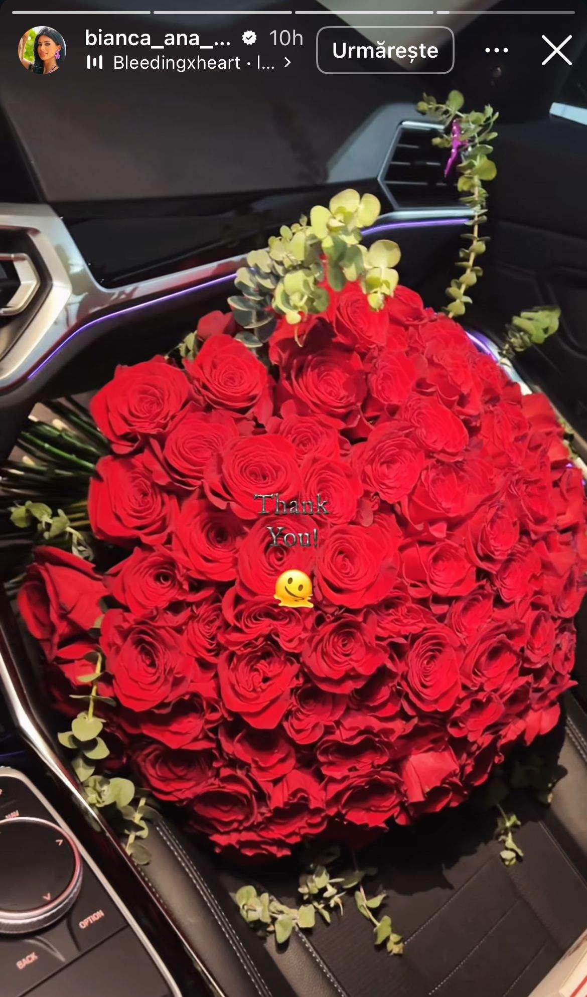 Florile Biancăi Dan