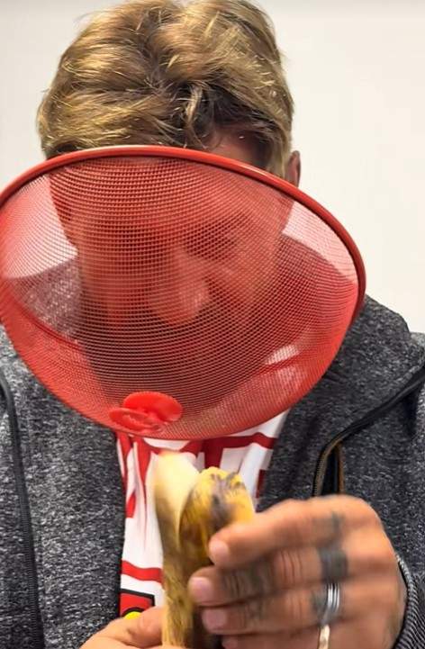 andrei rotaru insula iubirii