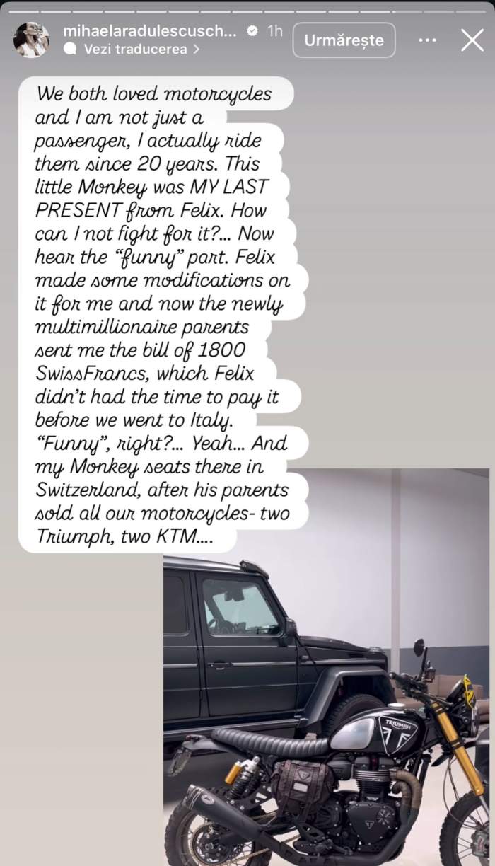 Mihaela Rădulescu și Felix Baumgartner, video din intimitate! Cât de mult o iubea parașutistul pe vedetă