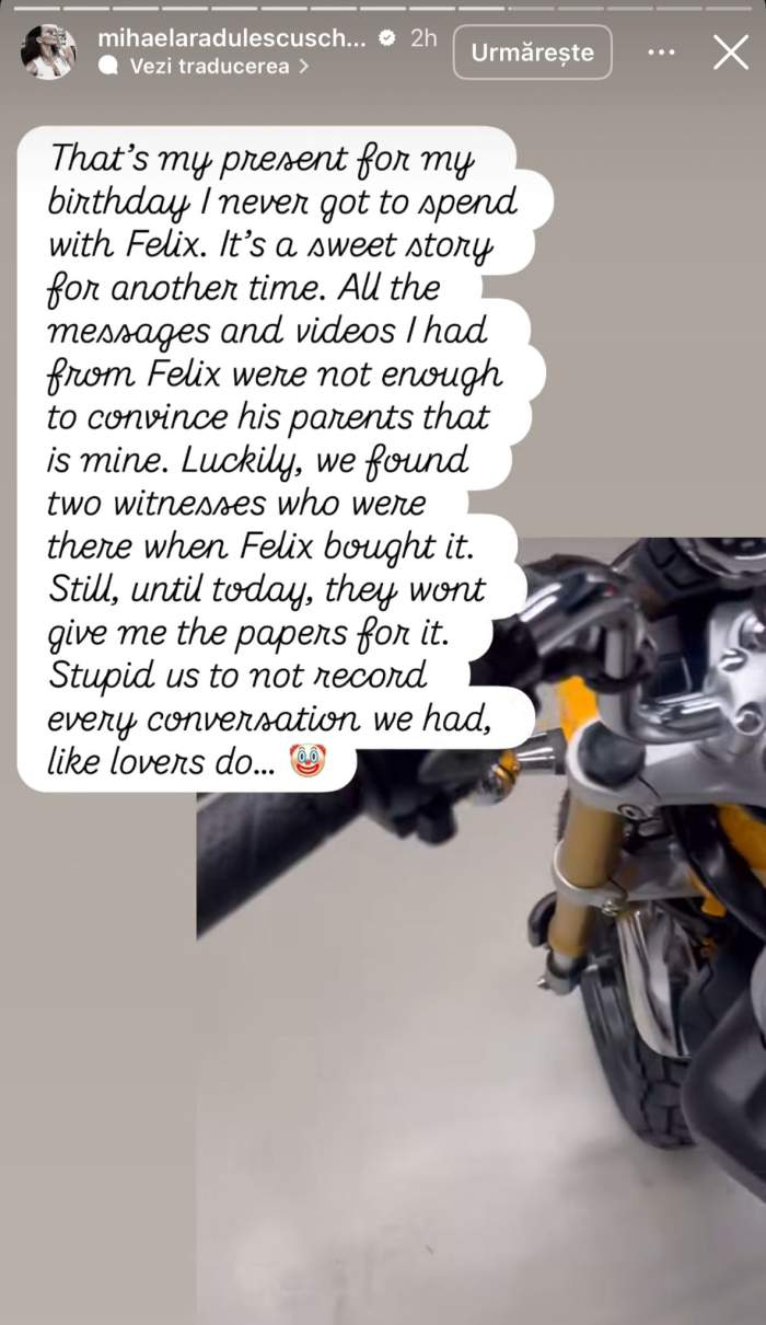 Mihaela Rădulescu și Felix Baumgartner, video din intimitate! Cât de mult o iubea parașutistul pe vedetă