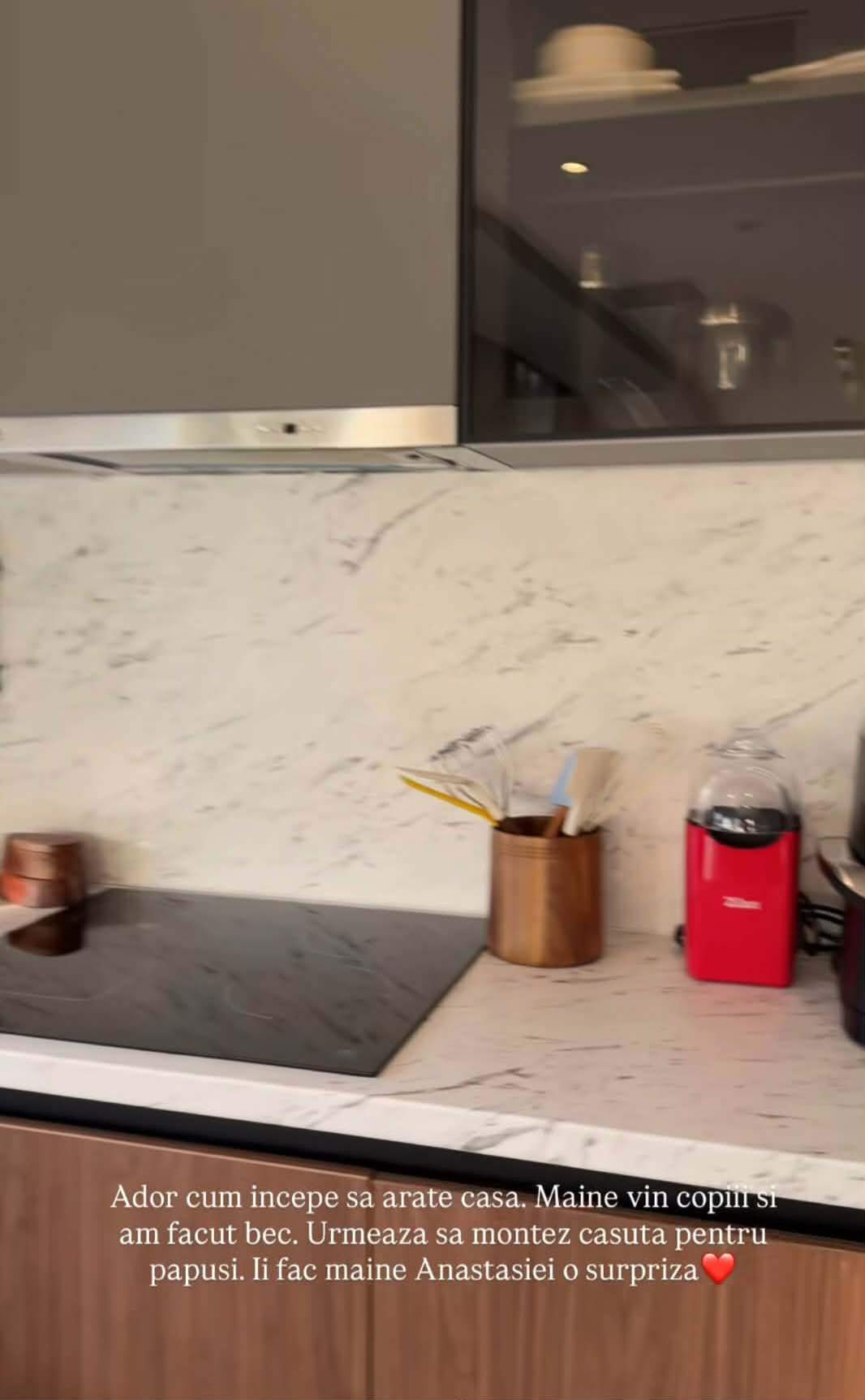 Cum arată casa în care s-a mutat Andreea Popescu! GALERIE FOTO