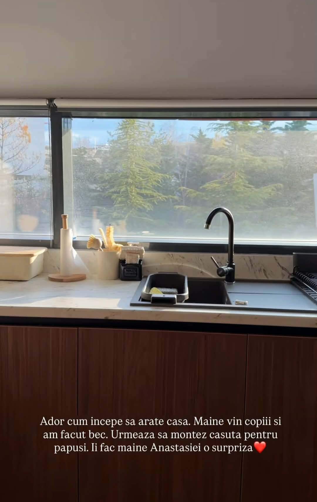 Cum arată casa în care s-a mutat Andreea Popescu! GALERIE FOTO