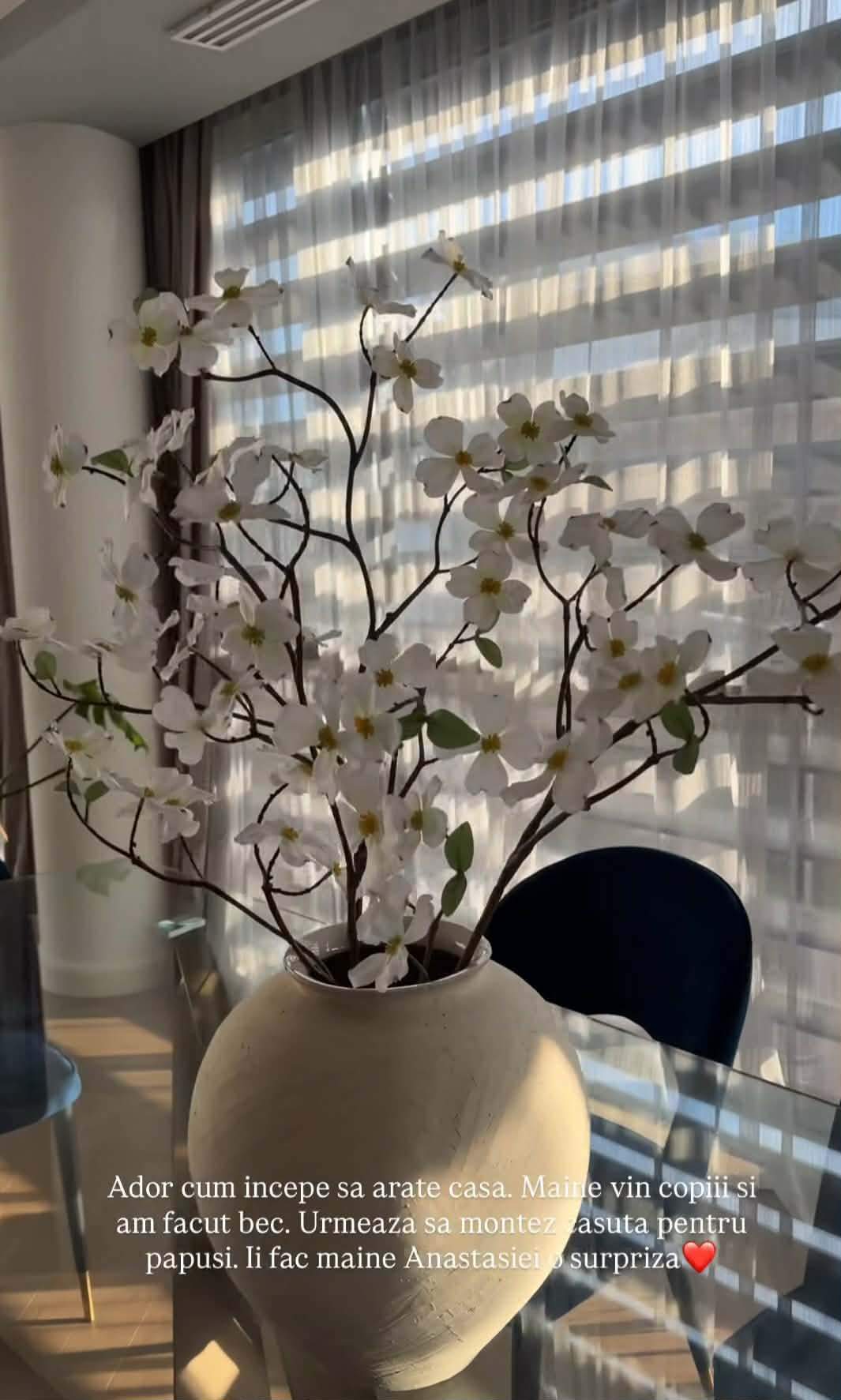 Cum arată casa în care s-a mutat Andreea Popescu! GALERIE FOTO