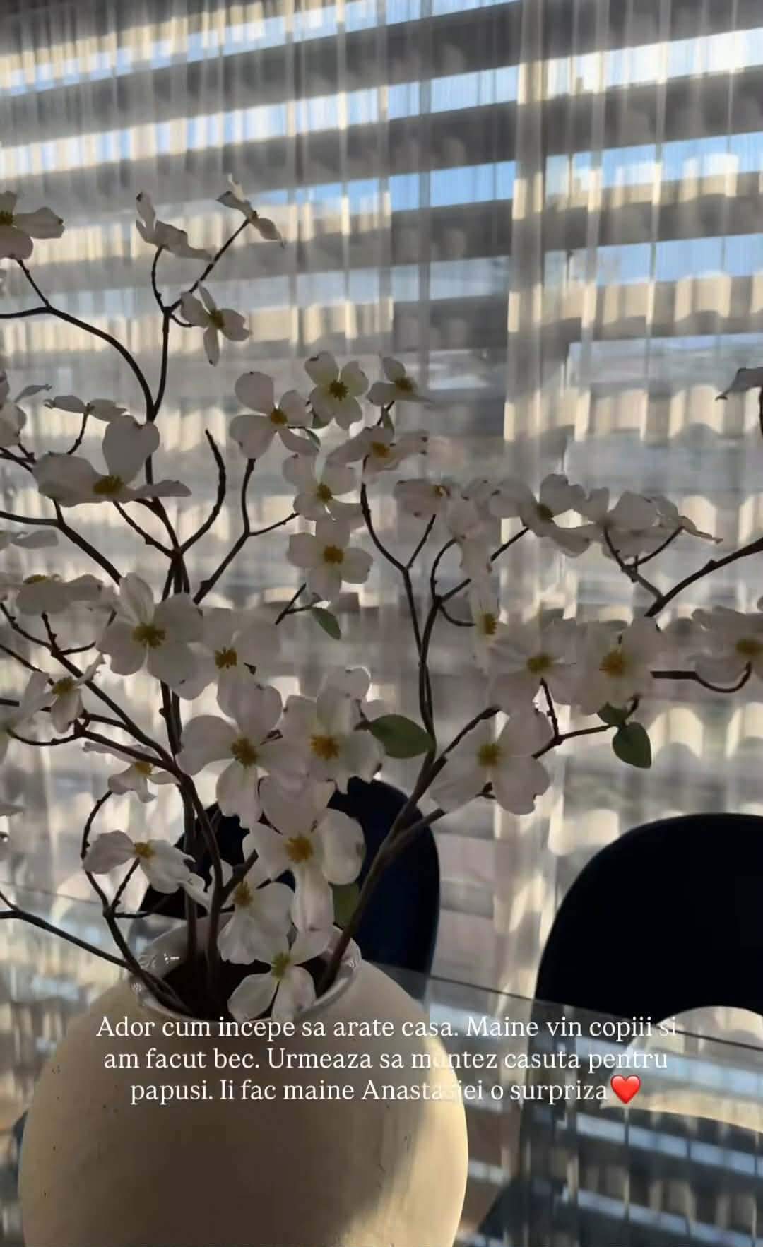 Cum arată casa în care s-a mutat Andreea Popescu! GALERIE FOTO