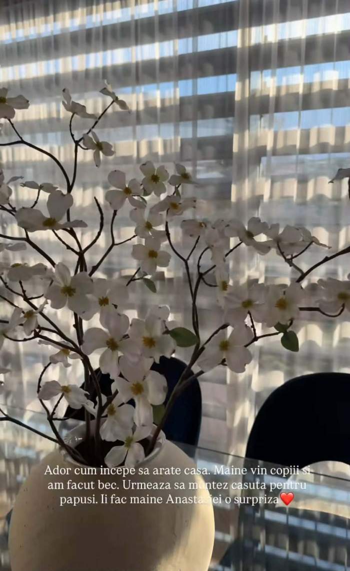 Cum arată casa în care s-a mutat Andreea Popescu! GALERIE FOTO