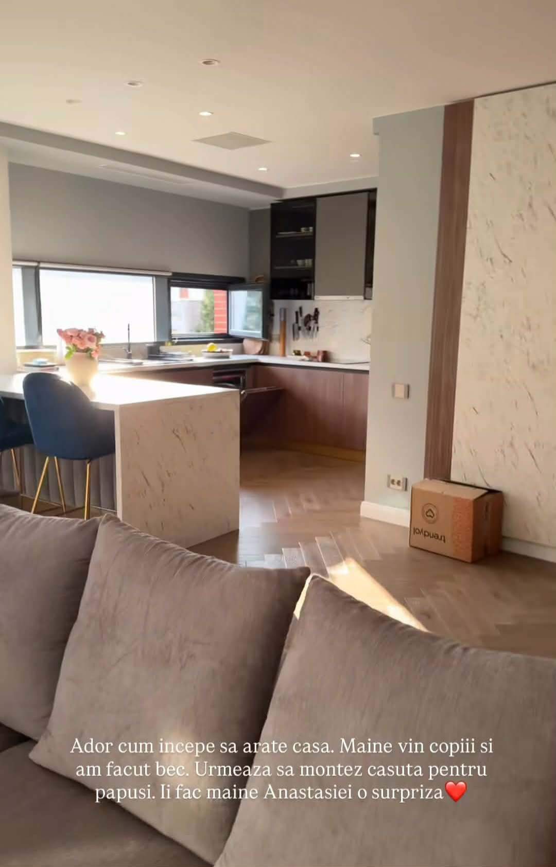 Cum arată casa în care s-a mutat Andreea Popescu! GALERIE FOTO