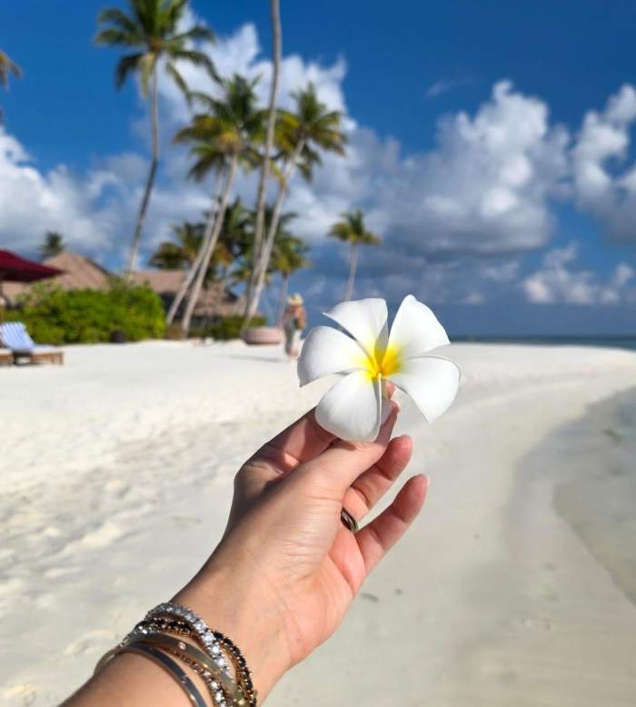 Locul în care se află Ela Crăciun