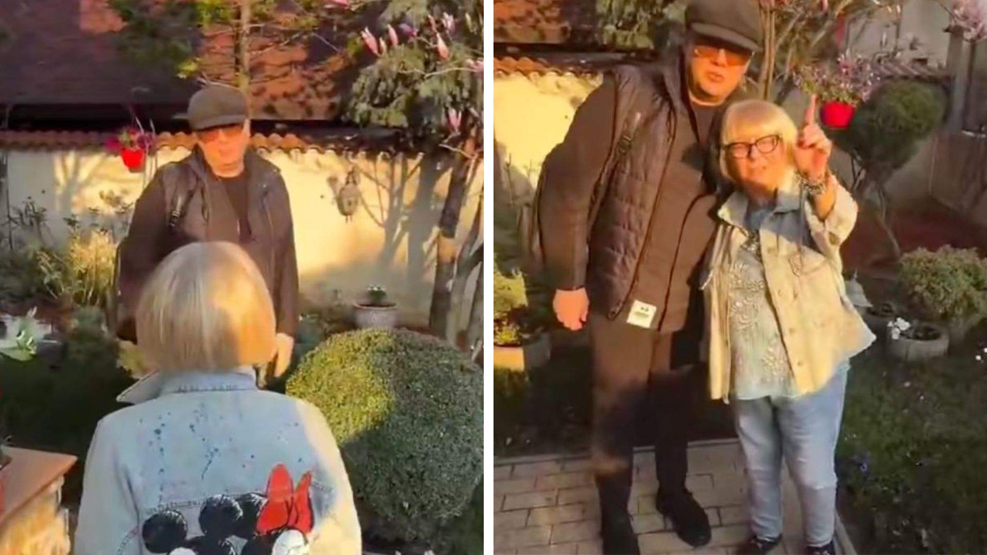 Colaj foto cu Mirabela Dauer și Fuego