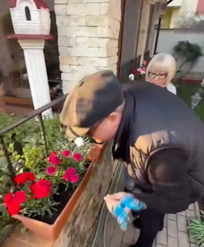 Florile Mirabelei Dauer