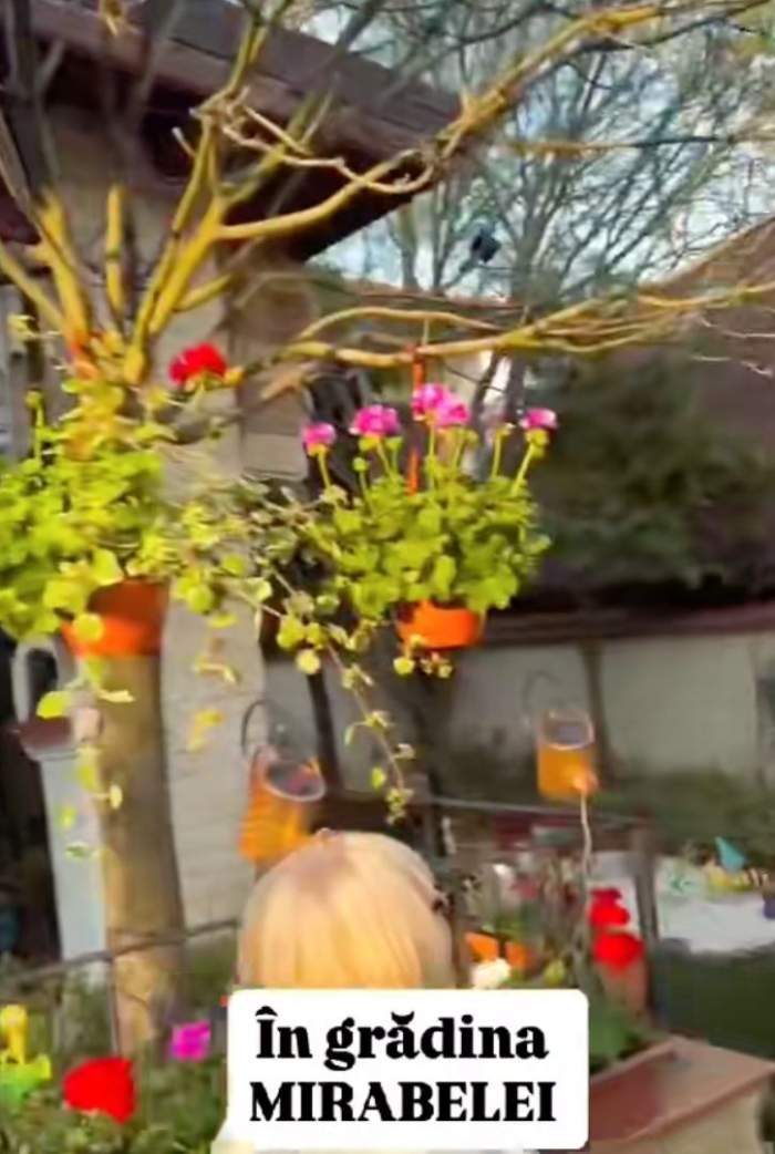 Cum arată curtea casei Mirabelei Dauer
