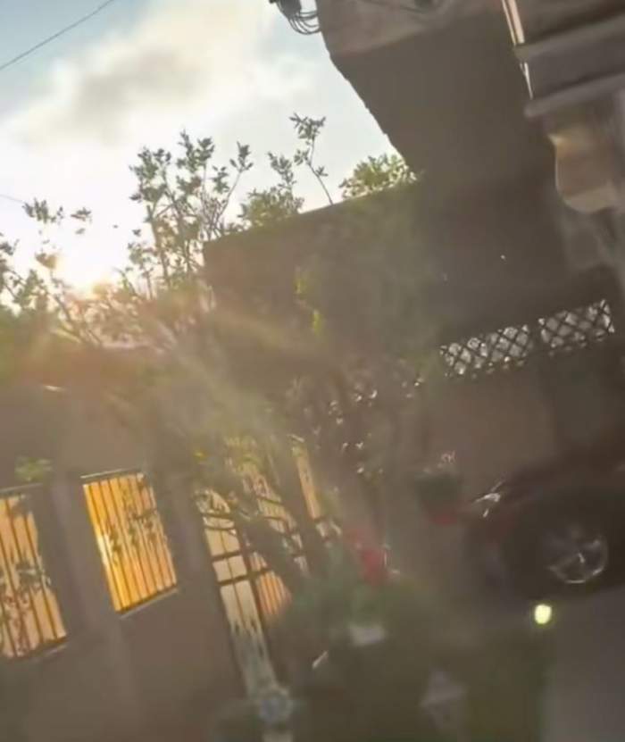 Curtea casei Mirabelei Dauer