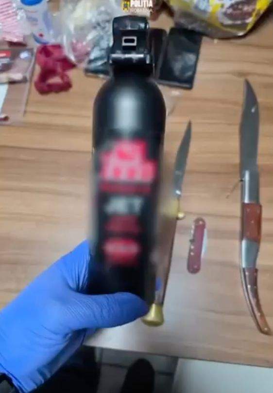 Arme găsite în timpul descinderilor