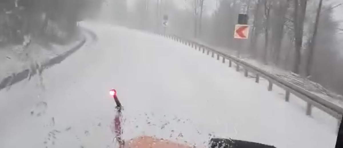 Ninsori în România