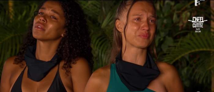 concurenți la Survivor