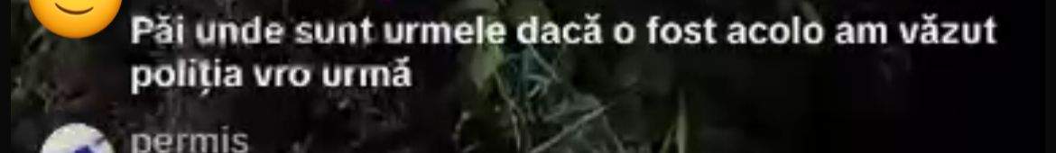 Comentarii despre tatăl copilului dispărut