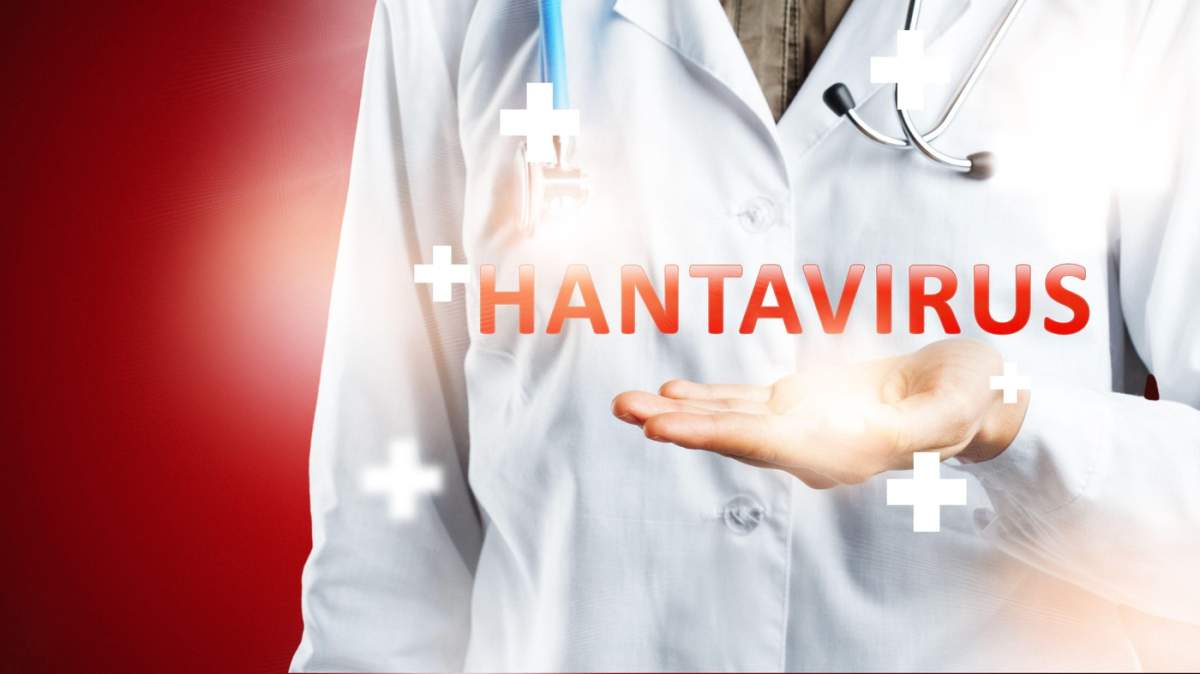 Hantavirus
