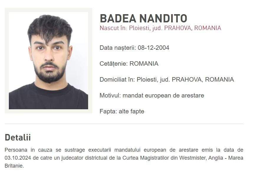 Nandito Badea