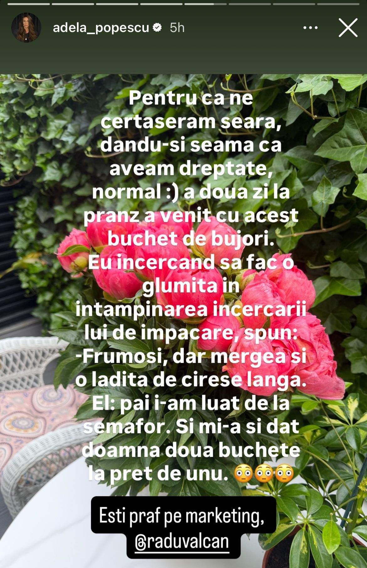 Mesaj Adela Popescu