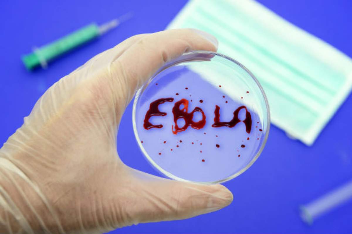 America a blocat intrarea unui avion pe teritoriu, din cauza Ebola. Ministrul Sănătății, Alexandru Rafila, declarații de ultimă oră! Cum ne afectează