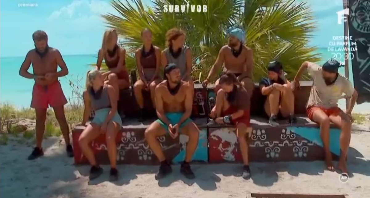 survivor