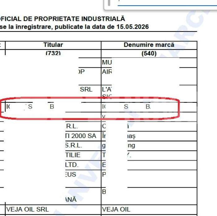 EXCLUSIV | Decizie neașteptată a afaceristului acuzat că îl hărțuiește pe milionarul Lișinschi | DOCUMENTE