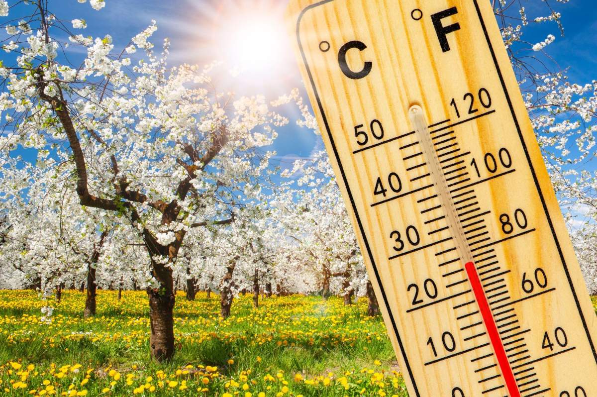 prognoza meteo de Rusalii