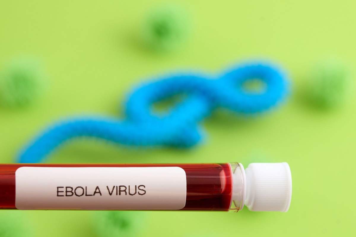 ebola