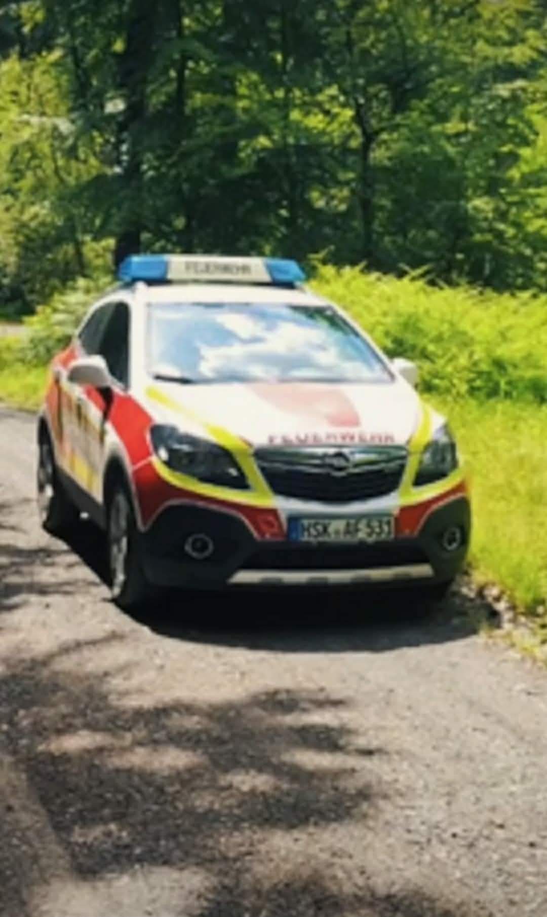 mașină de poliție