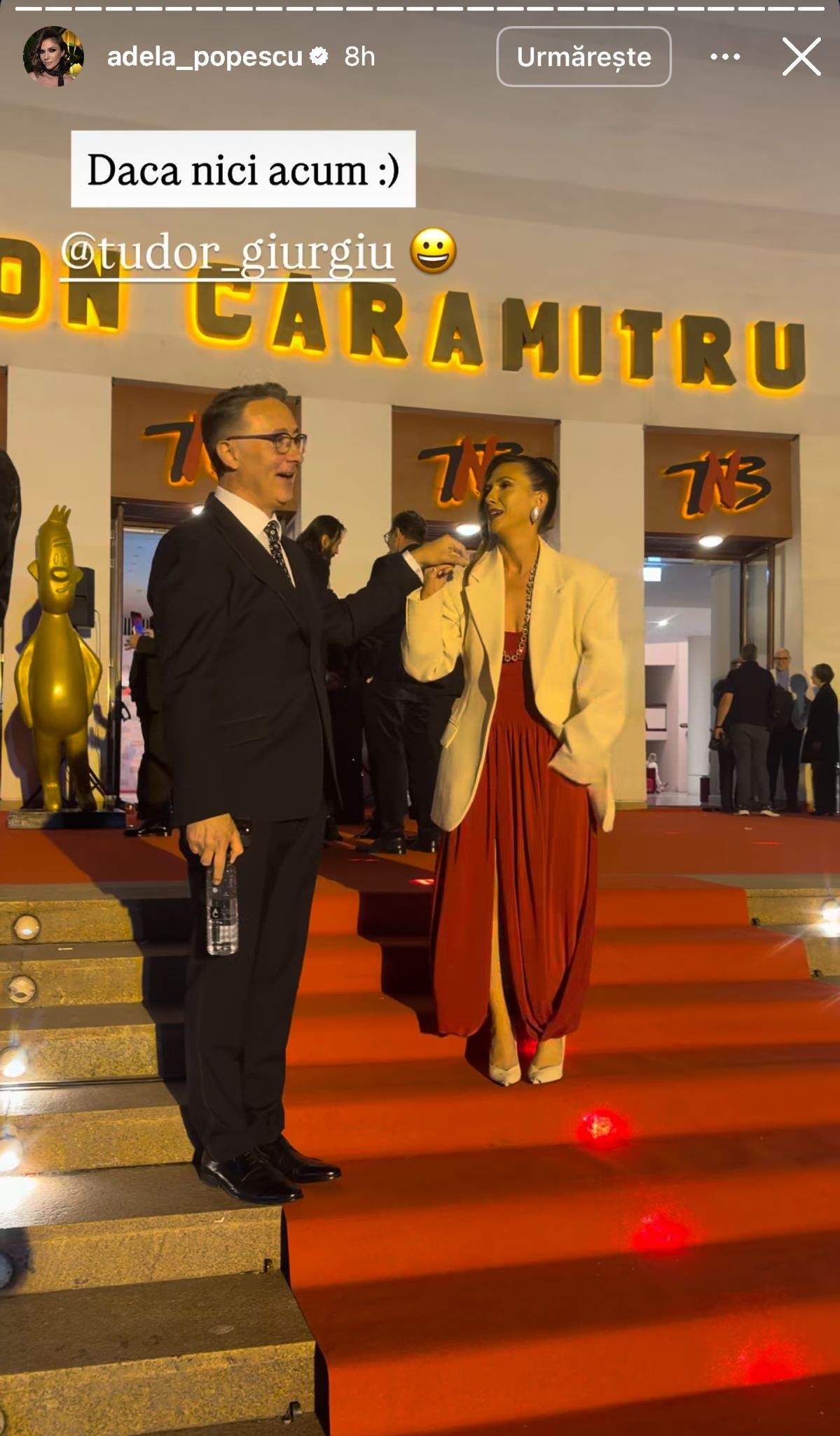 Adela Popescu, ajutată să coboare scările