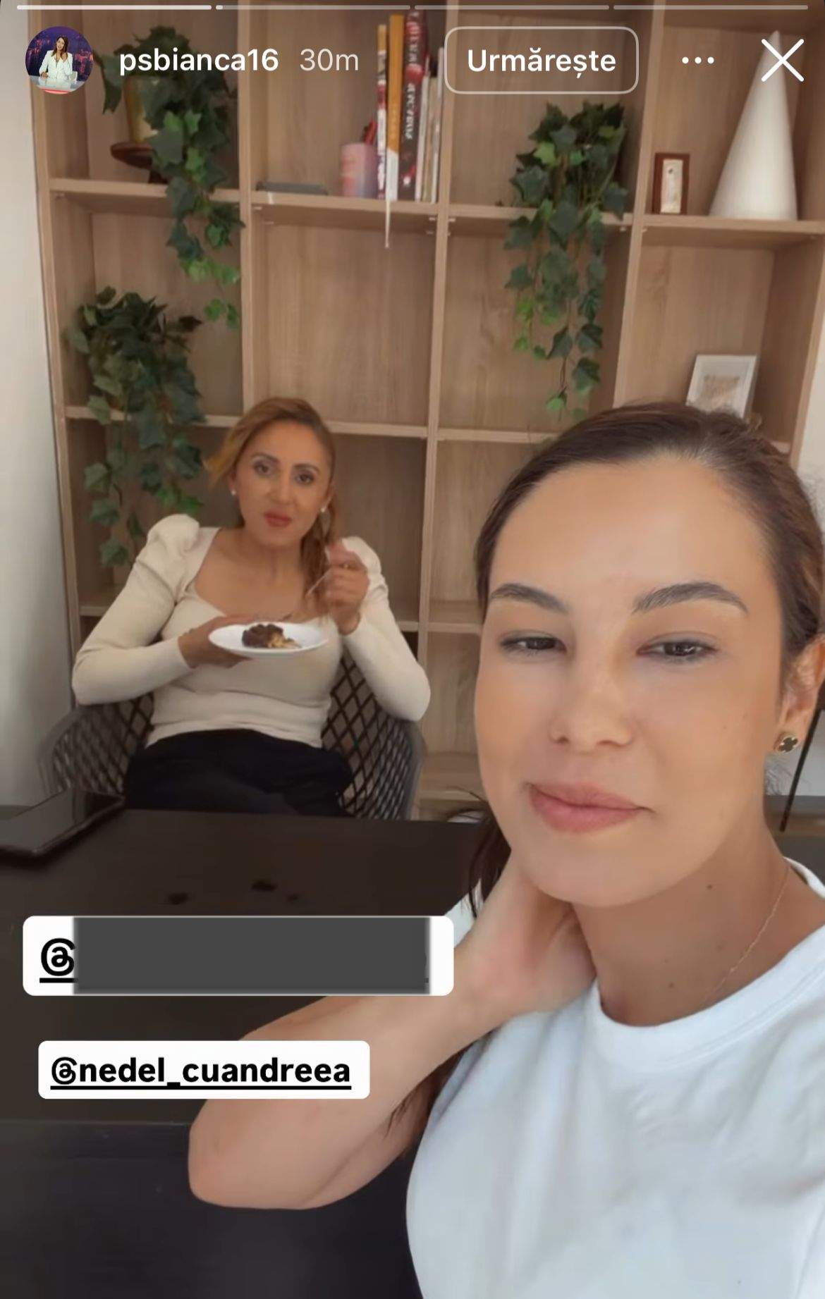 Bianca și Andreea de la Chefi la cuțite