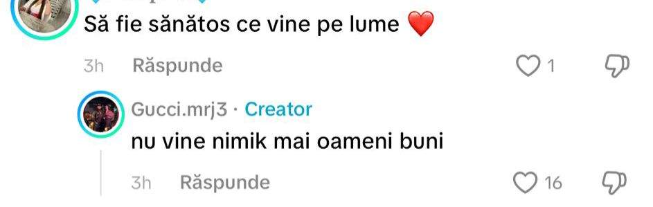 Comentariul lui Gucci