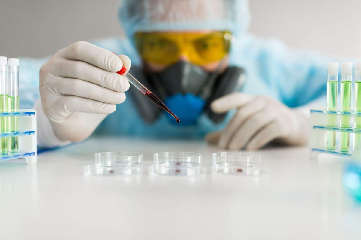 Cercetător într-un laborator care picură o probă de sânge într-o placă Petri. Concentrare pe o pipetă. Un cercetător într-un laborator picură o probă de sânge într-o placă Petri. Concentrare pe pipetă. Cercetare antigripală și creare de 