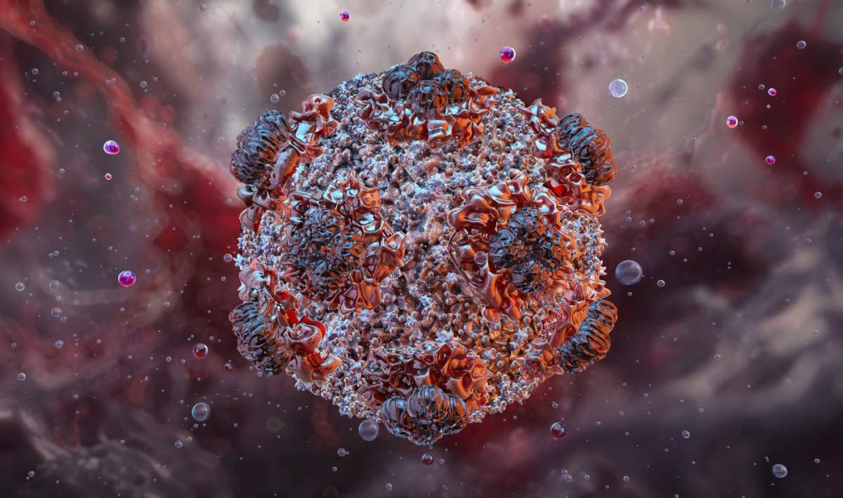 Hantavirus