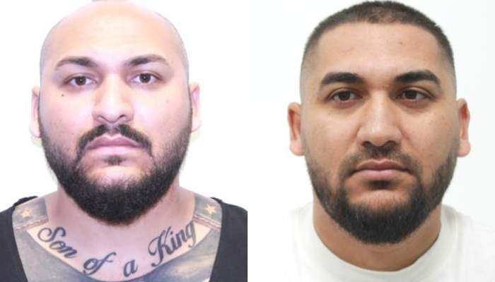 EXCLUSIV | Lovitură incredibilă pentru victimele lui Dani Mocanu | Fratele artistului, în culmea fericirii
