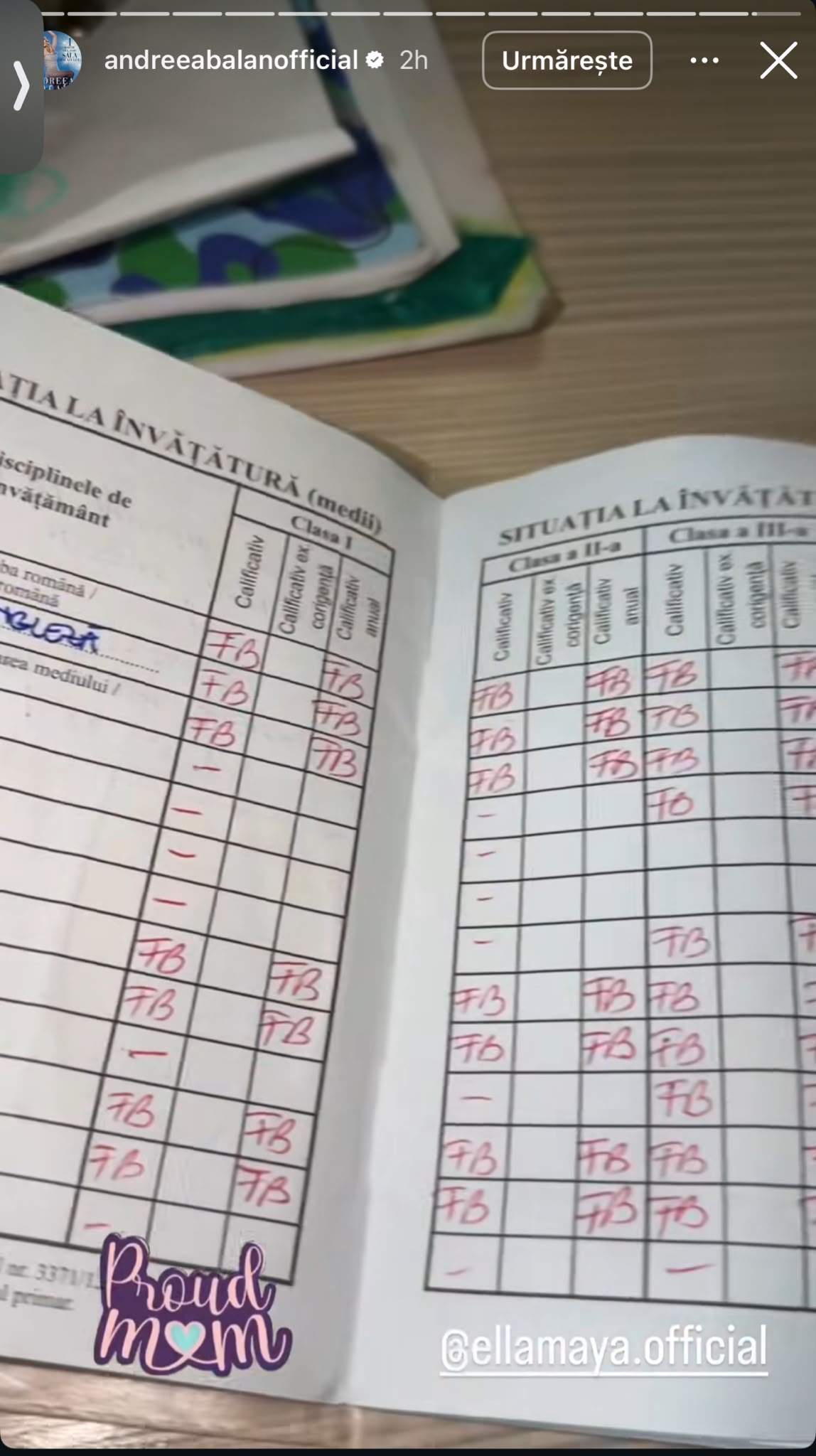 Carnetul de note al fiicei Andreei Bălan