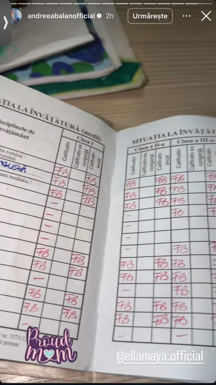 Carnetul de note al fiicei Andreei Bălan